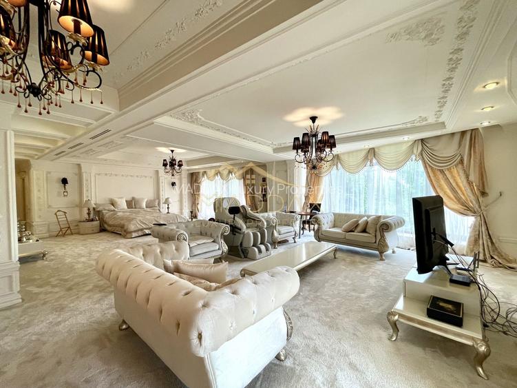 Impressive Villa *1500 SQM usable* 2613 SQM land / Open to the lake - 30