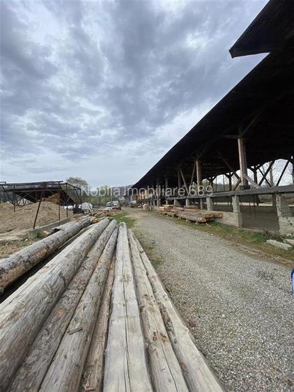 HALE-DEPOZIT DE VANZRE SI TEREN 10000 mp  AGAS jud.Bacau - 3