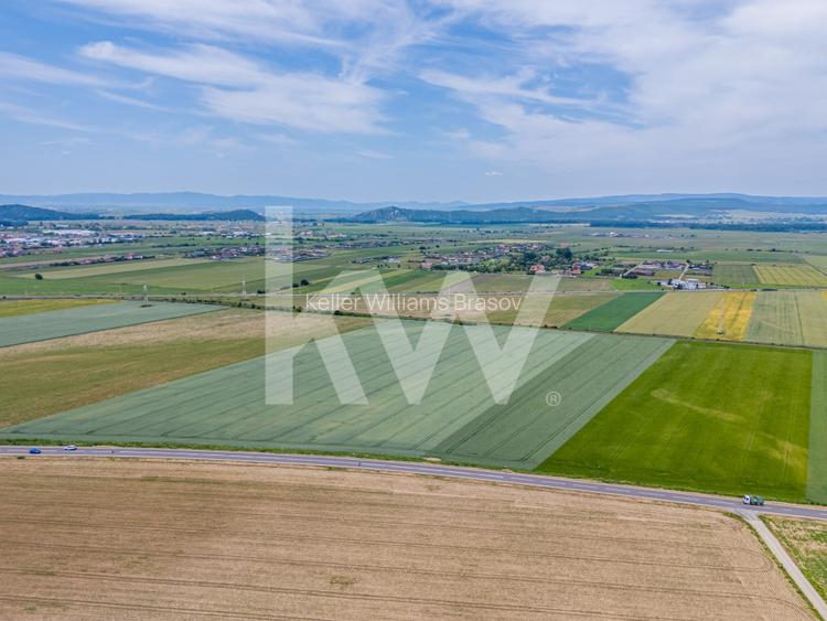 Teren de vanzare I 8 Euro/ mp I Deschidere la drum - Harman - 9