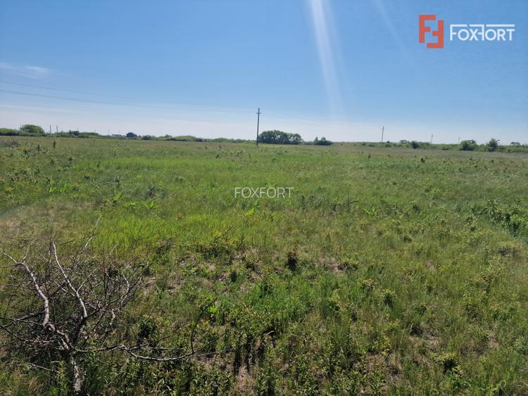 Teren de 5000 mp de vanzare in Mosnita Veche - 3
