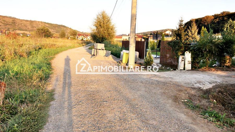De vanzare 2 terenuri de 29.500 mp si 1.400 mp.29 euro mp - 6