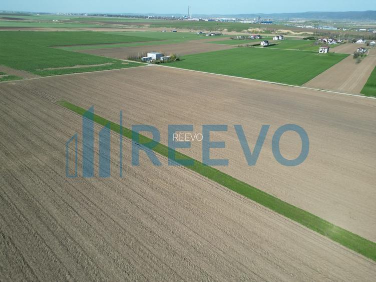 Teren de vânzare, Com. Nicolae Bălcescu, Jud. Bacău - 9