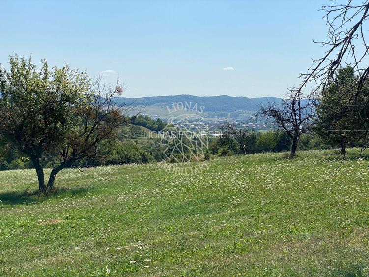 Teren 11.000 mp-ideal cabana/ferma-Unirea-Valea Slatinitei - 5