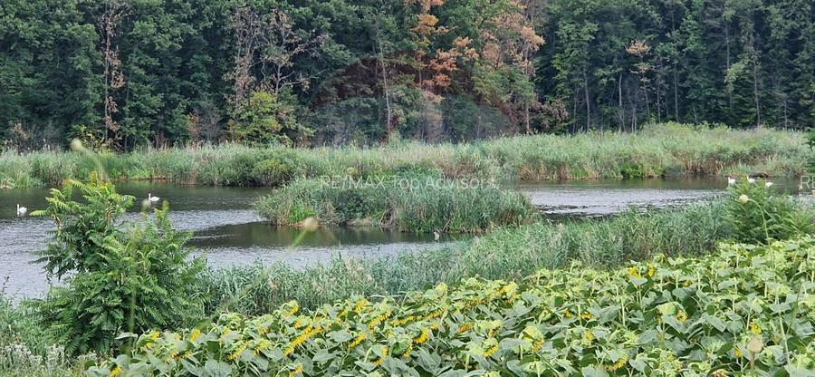 DE VANZARE Teren agricol 4500mp Moara Vlasiei - 2