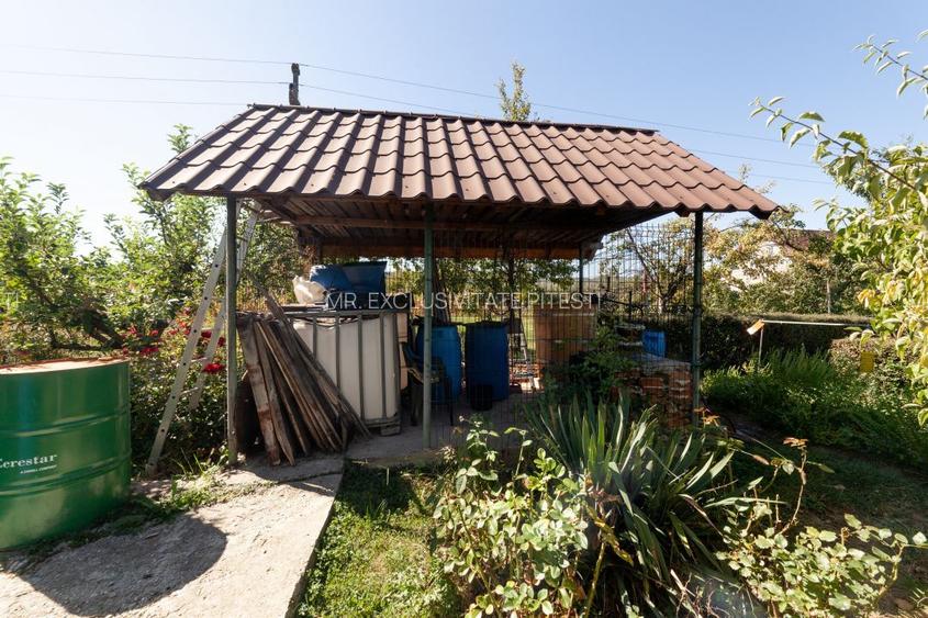 Casa visurilor cu 4000 mp livada roditoare si gradina Darmanesti-Arges - 26