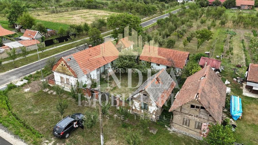 Casa Babsa, comuna Balint 2084mp teren - 4