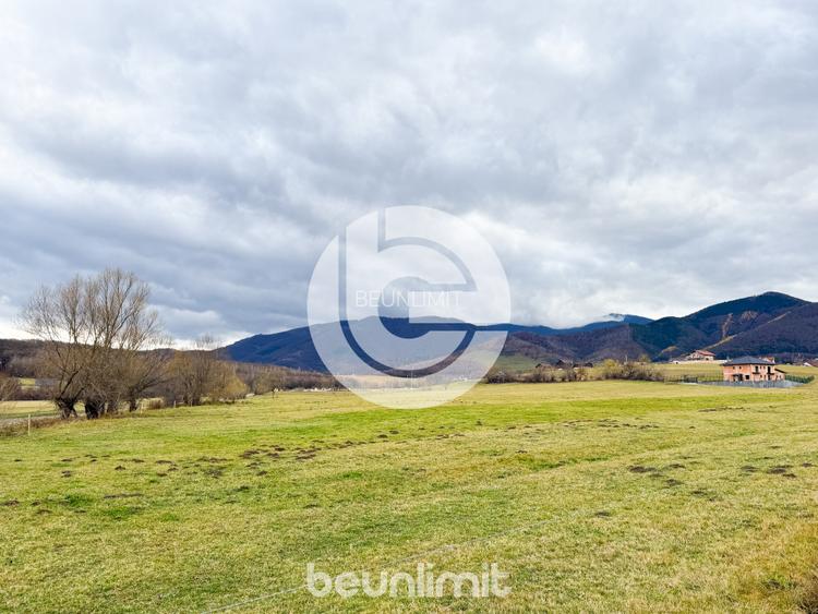 Teren intravilan în Tocile - 39 euro/mp - 4354 m² - 2 fronturi - 16