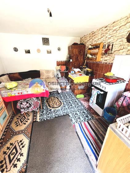 CASA + HALĂ  comuna ALEXANDRU cel BUN - 2