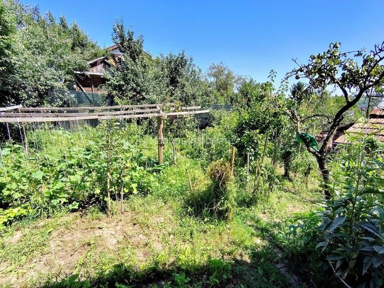 Casa unifamiliala 120 mp utili,  cu 477 mp teren, garaj, Dambul Rotund - 19