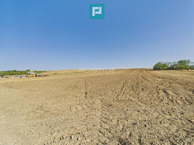 TEREN REMETEA MICĂ, JUDEȚUL TIMIȘ - 8