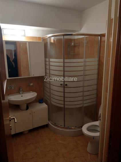 Apartament 3 camere Suprafață generoasă Etaj 1 Brâncuși – Valea Largă - 9