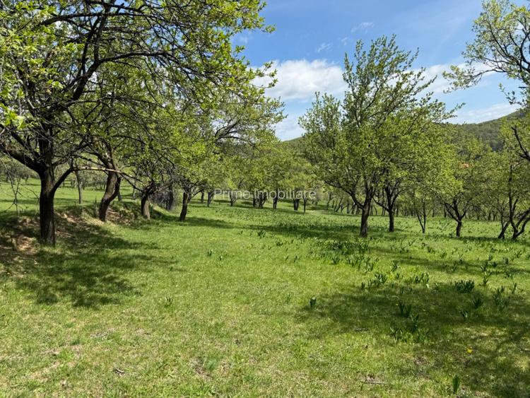 TEREN INTRAVILAN 8330 MP, INURI, VINTU DE JOS - 9