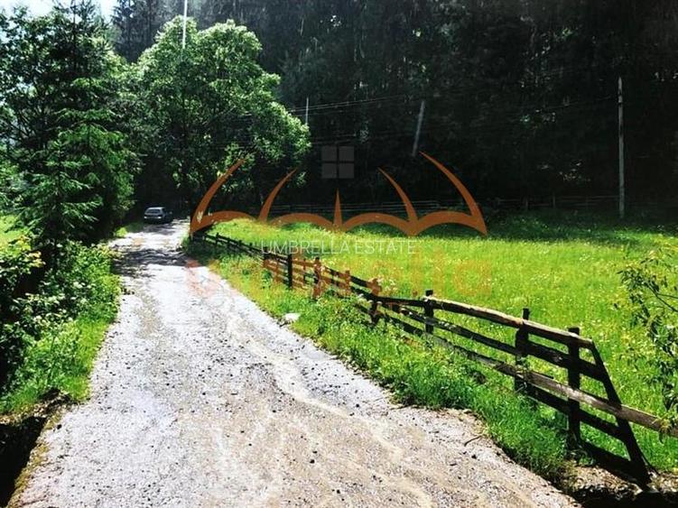 TEREN DE VANZARE 34.201m²/20€ m² IN VARSAG HARGHITA - 7