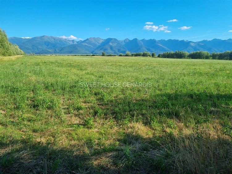 OPORTUNITATE REZIDENTIALA TEREN INTRAVILAN GENEROS 17.526 FAGARAS - 2