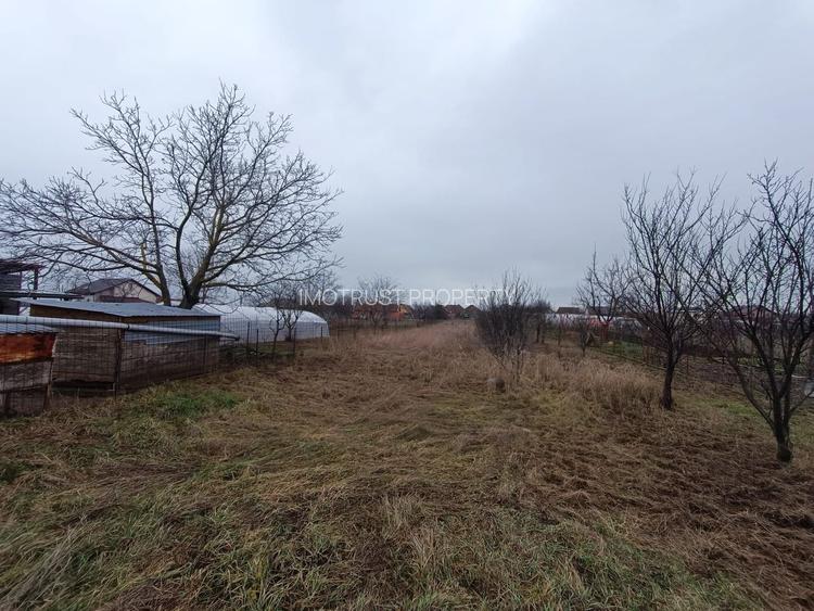 Casă cu teren generos 1.305 mp | Curtici – Arad - 8