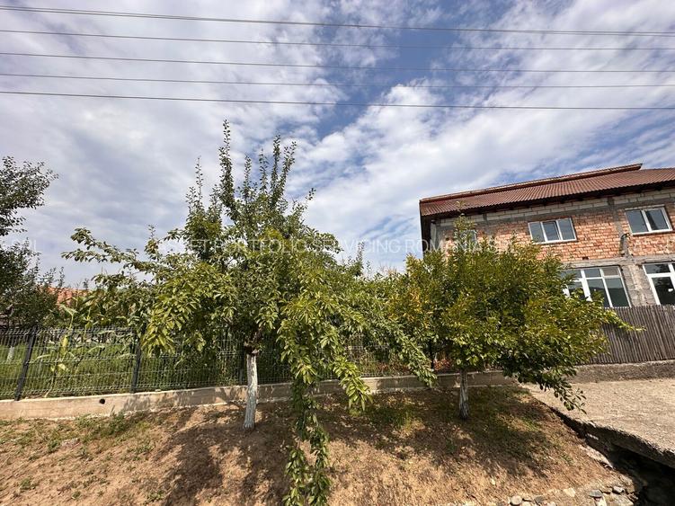 CASA/SPATIU COMERCIAL - GENUNENI - 2