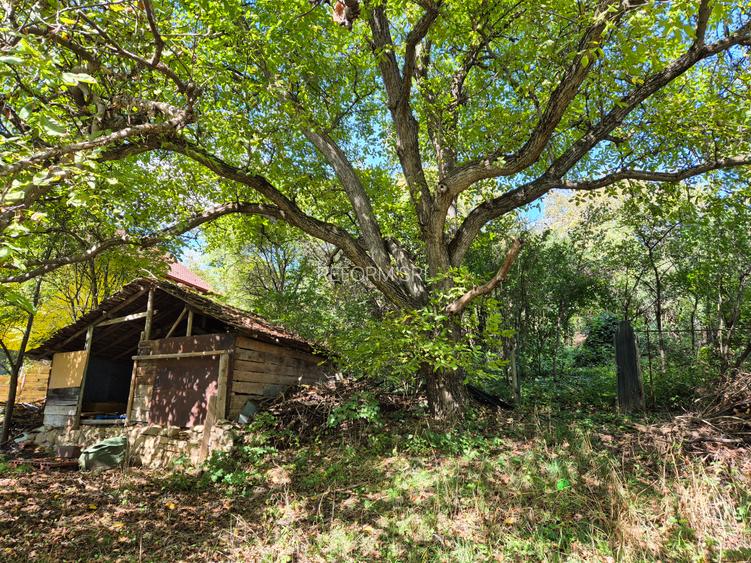 De vânzare – Apartament cu teren generos în cartierul Grigorescu, strada Donath - 11