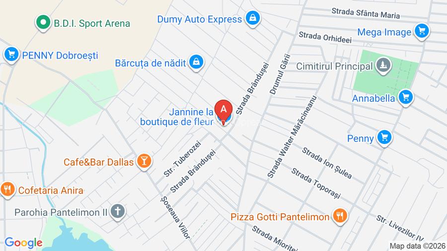 Vilă individuală Pantelimon | 180 mp utili | teren 518 mp | mobilată | curte ame - 14