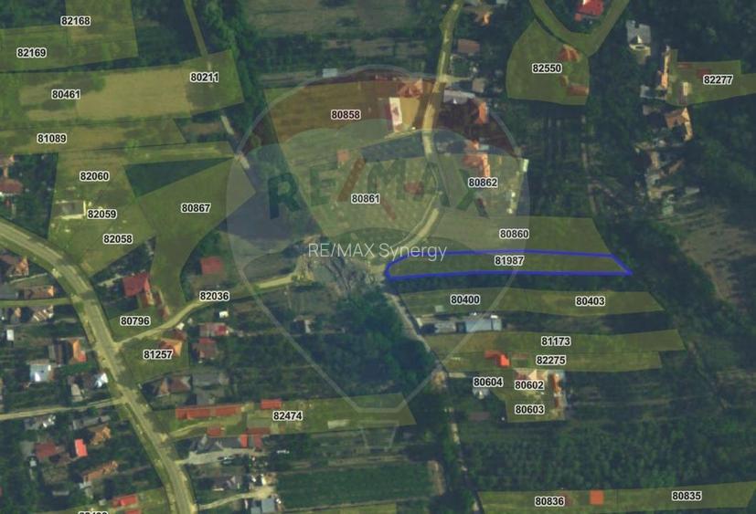 Teren intravilan 1.736 mp Chițești- Bogați (AG), deschidere la asfalt - 8