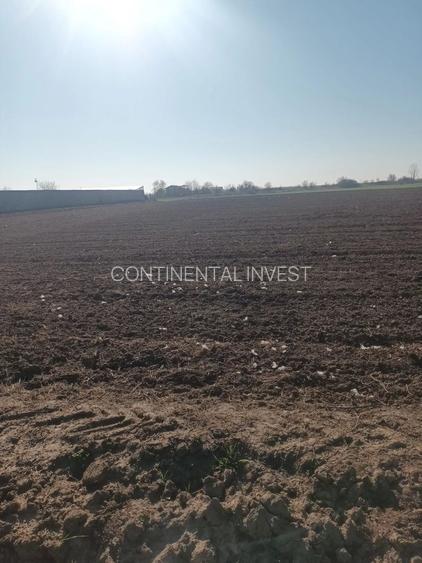 Teren de vanzare, Ordoreanu, Ferma de Struti, pret discutabil - 4