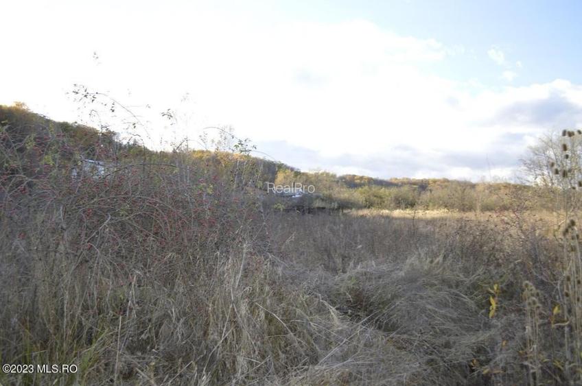 Babana - Centru - Primarie, Teren intravilan 13742 mp! - 14