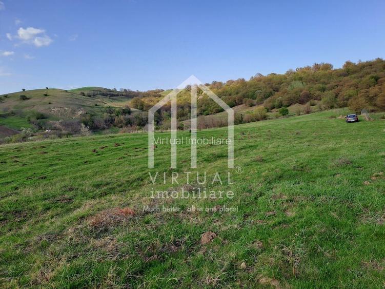 Teren extravilan de vanzare 15,600 mp zona loc... Hamba - 2