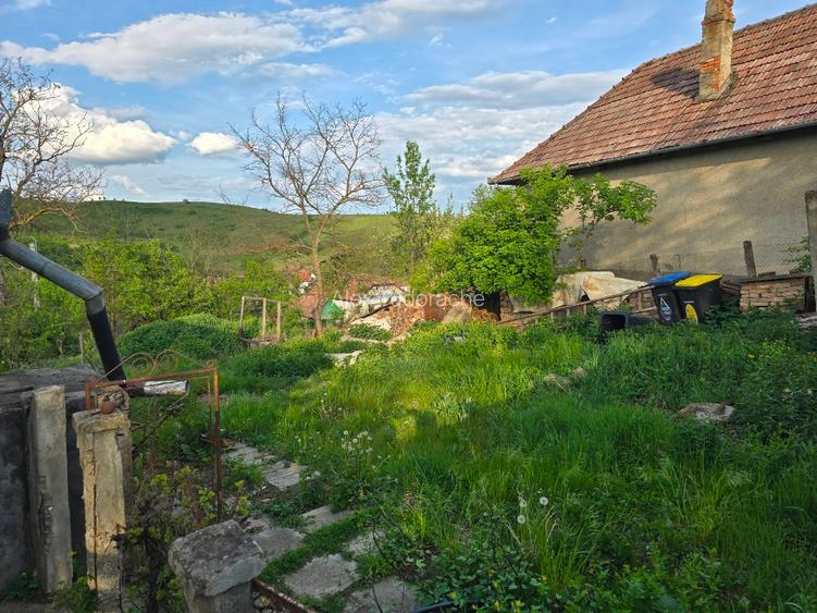TEREN INTRAVILAN CU POTENȚIAL 2 CASE | SIC, CLUJ - 3