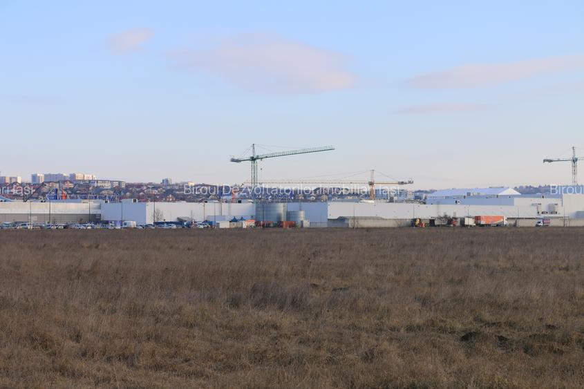 Teren intravilan – 20.000 mp, zona Carrefour ERA, Iași - 5