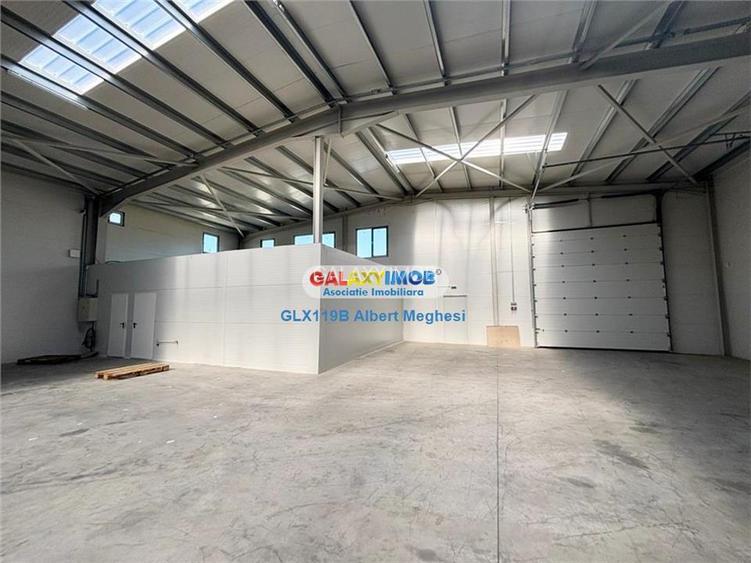 Inchiriere hala depozitare Parc Industrial TBM Rudeni - 2