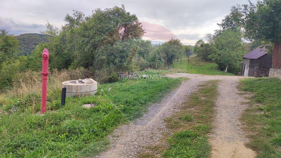 Teren intravilan constructii 3082 mp Damis Bratca drum DJ 764D - 3