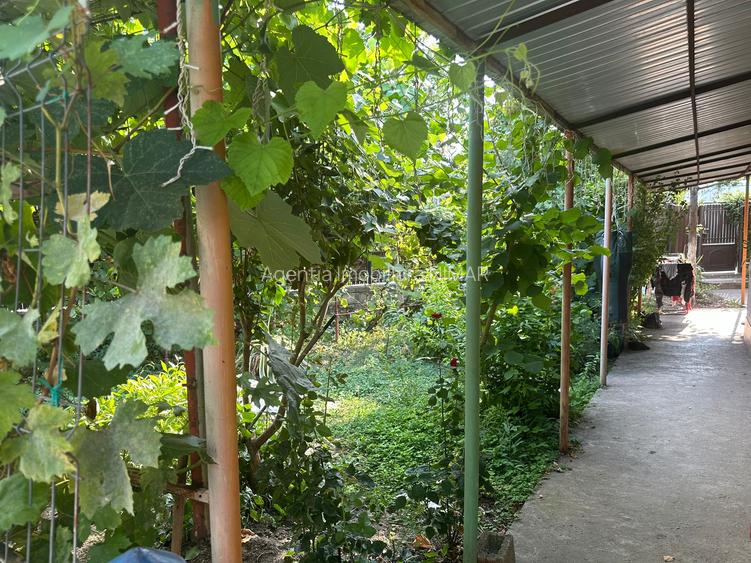 Casa si teren zona teatrul Maior Gheorghe Pastia, Focsani, jud. Vrancea. - 2