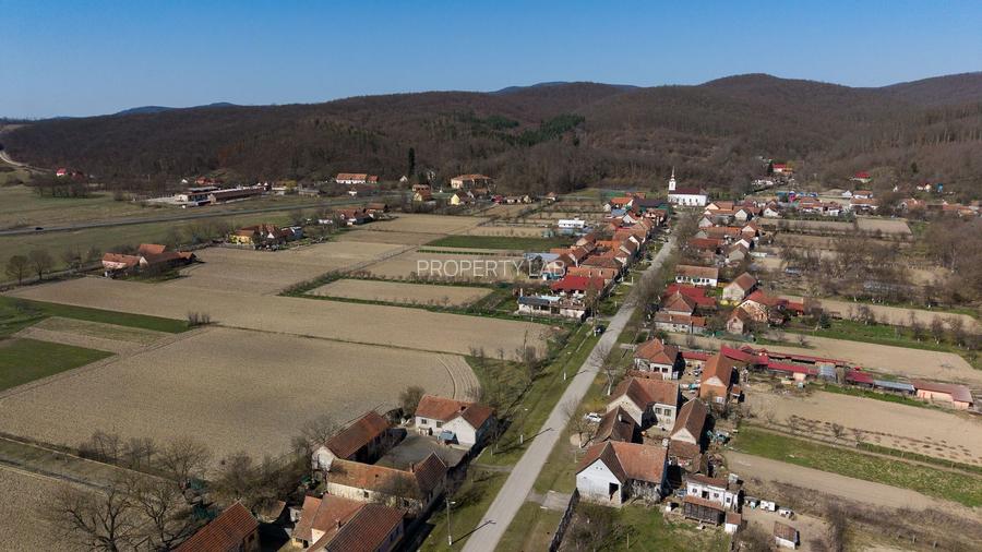 Loc de casă în Odvoș - Conop 3000mp - 8