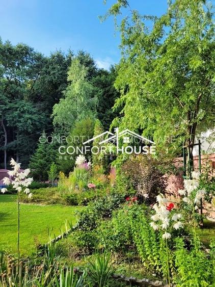 VILA D+P+E+M, 12 camere, piscina , padure, IANCU NICOLAE - 37