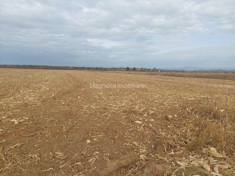 Teren dezvoltare rezidentiala / industriala, Dumbrava / Targoviste - comision 0% - 4