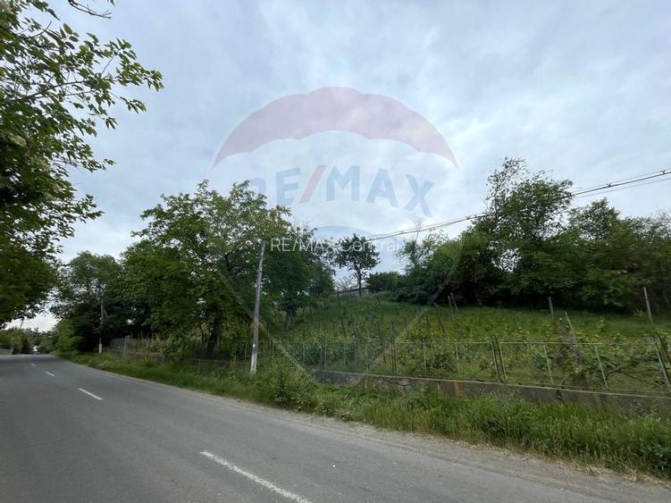 Casă și Teren Generos la Granița cu Republica Moldova! - 10