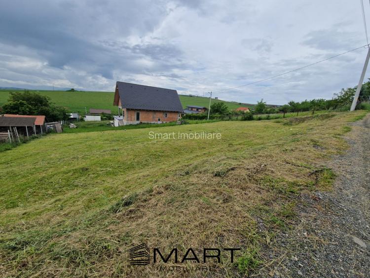 Teren intravila Sura Mare 1000mp - 3