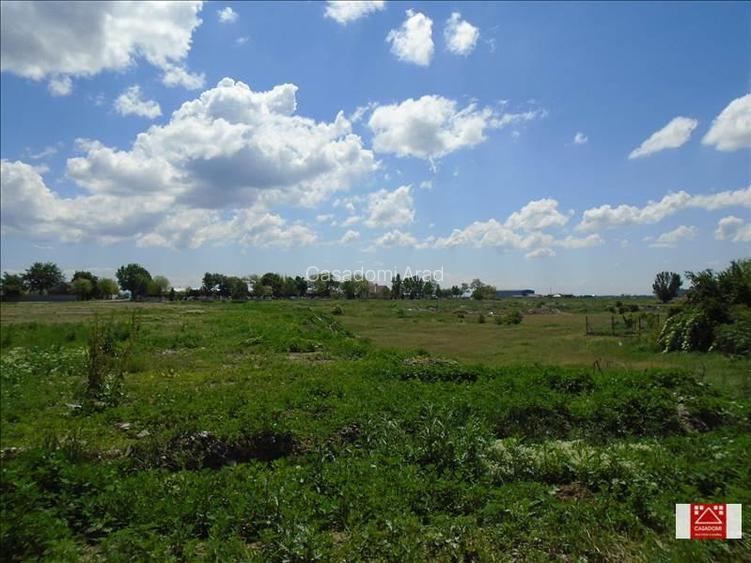 Teren intravilan langa Webasto, Zimand - 5