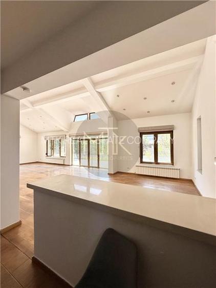 Vila Individuala Spectaculoasa cu Piscina, Erou Iancu Nicolae-Pipera - 13