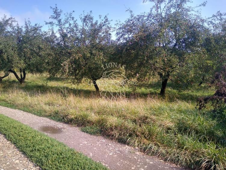 Teren 1500 mp - pretabil cabana/investitie - Zona Valea Rusului - 2