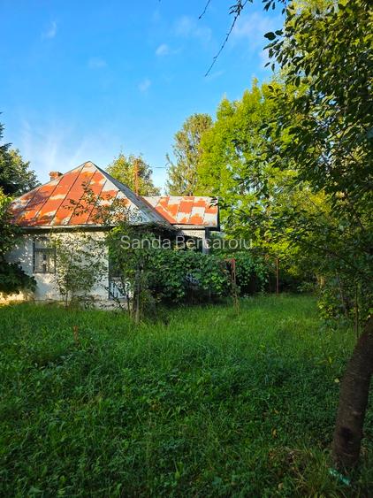 Teren 2500 mp – POTENȚIAL BUSINESS / DEZVOLTARE – Breaza - 4