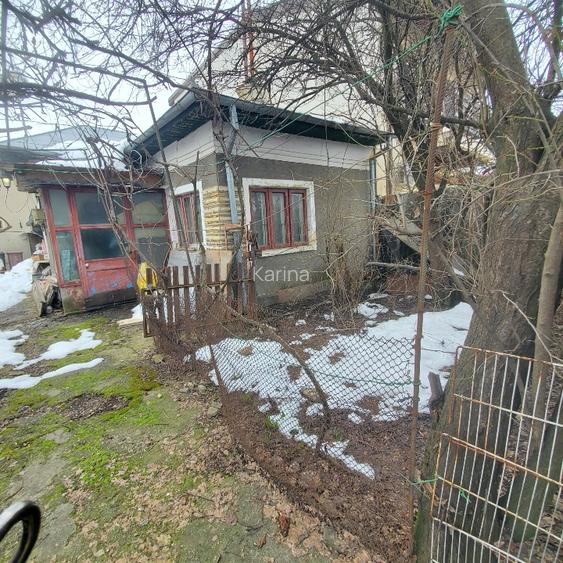 Vaneren cu casa batraneasca in Bucurestii Noi - 2