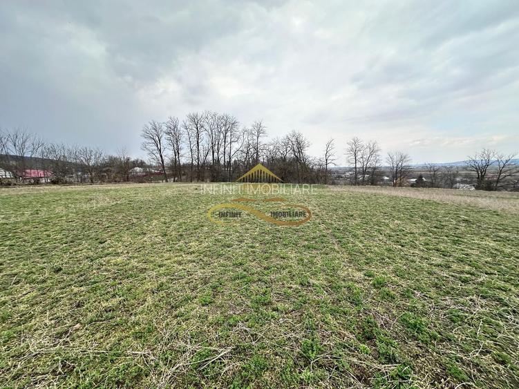 Teren de vanzare Blagesti Bacau - 11