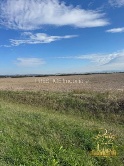 Teren extravilan 2 ha de vanzare in comuna Sacadat - judetul Bihor - 5