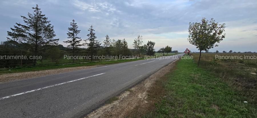LIVADA  DE VANZARE FOCSANI-DUMBRAVITA  1,8  HA - 26