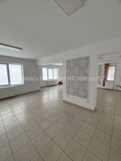 Spațiu zona Mehala - 13