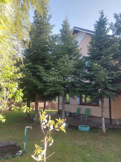 SNAGOV vila  spatioasa, curte amenajata, garaj, panouri fotovoltaice - 4