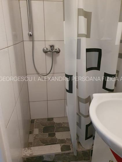 Sala Palatului 2 Camere Ultracentral - 10