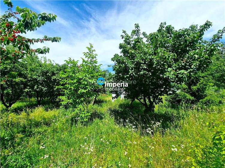 Proprietar Casa D+P+M, 3 cam, 800 teren, Curaturi / Lunca Cetatuii - 14