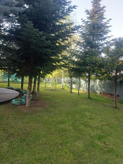 SNAGOV vila  spatioasa, curte amenajata, garaj, panouri fotovoltaice - 3