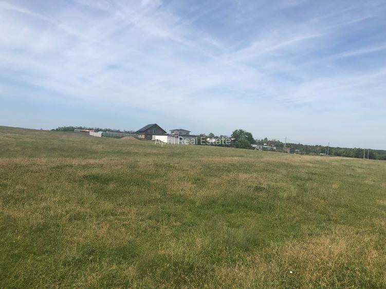 Fundulea, lac Mostistea, 984mp,deschidere 33ml,25€euro/mp, 24.600Euro - 5